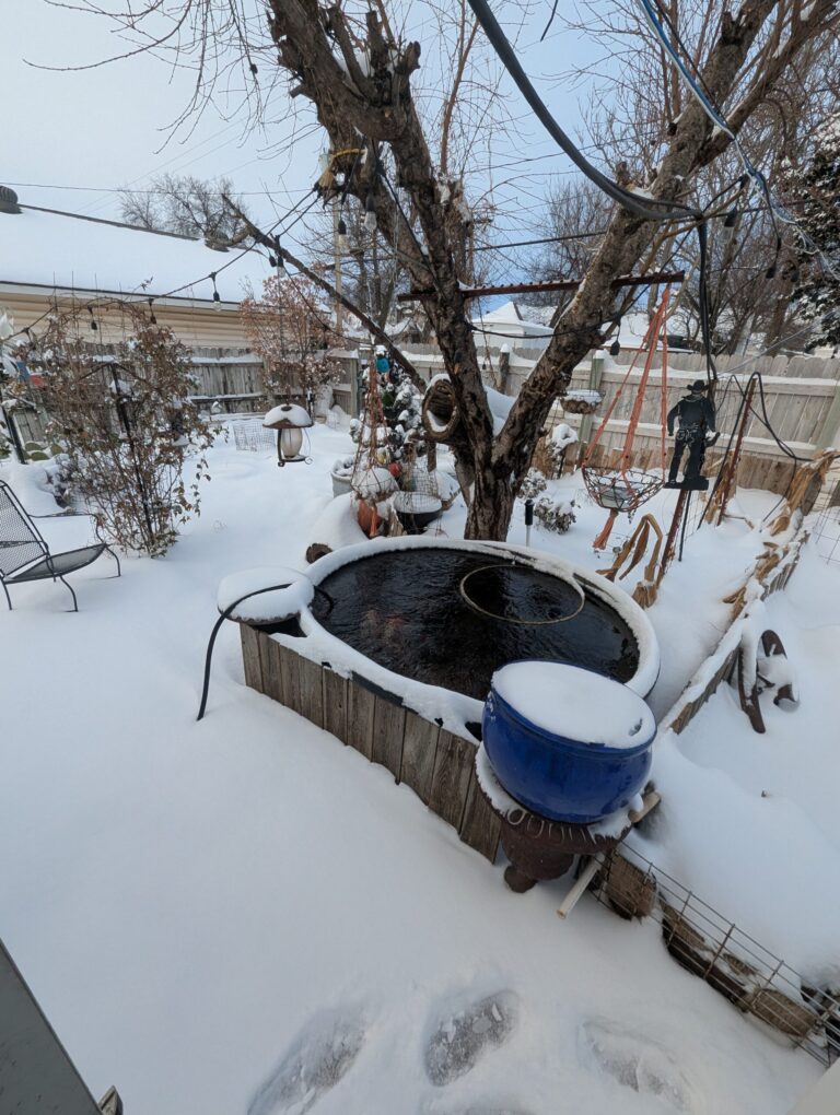 Heavy snow in a Kingfisher backyard during the January 2026 winter storm