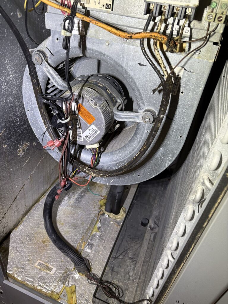 Blower motor inside an air handler, air conditioning service in Kingfisher, OK